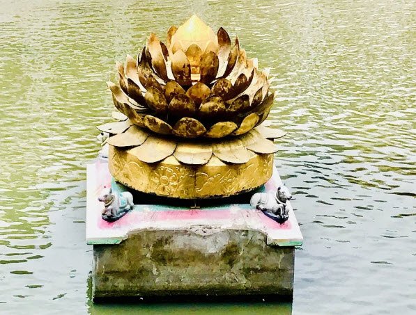 Golden Lotus Pond, Madurai, Tamil Nadu - Vushii.com